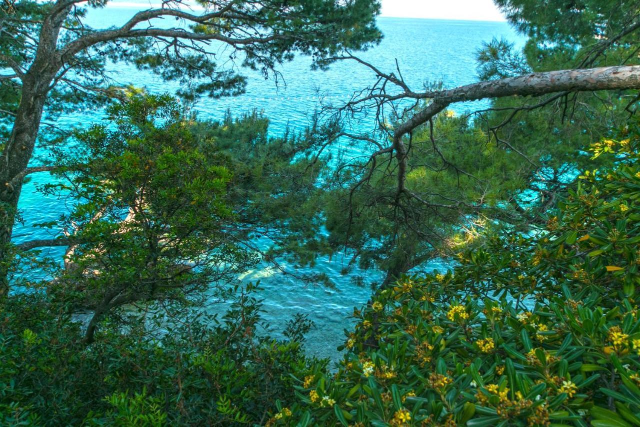 Apartments By The Sea Brela, Makarska - 16950 ภายนอก รูปภาพ